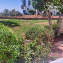 фото из отзыва ID 2711462