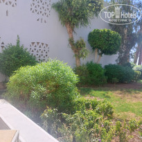 фото из отзыва ID 2711462