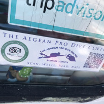 фото из отзыва ID 2711564