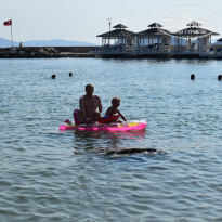 фото из отзыва ID 2711564