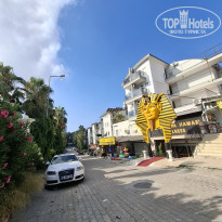 фото из отзыва ID 2710367