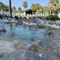 фото из отзыва ID 2711630