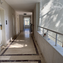 фото из отзыва ID 2711666