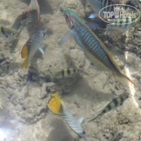 фото из отзыва ID 2711688