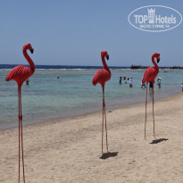 фото из отзыва ID 2711688