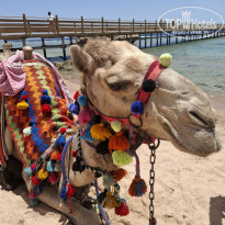 фото из отзыва ID 2711688