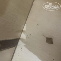 фото из отзыва ID 2711739