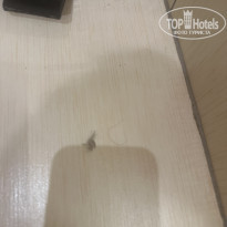 фото из отзыва ID 2711739