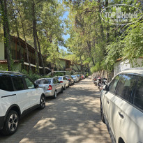 фото из отзыва ID 2711759