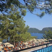 фото из отзыва ID 2711759