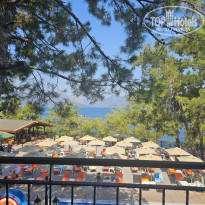 фото из отзыва ID 2711759