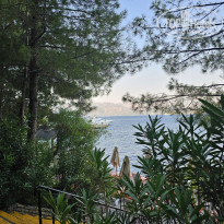 фото из отзыва ID 2711759