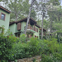 фото из отзыва ID 2711759