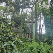 фото из отзыва ID 2711759