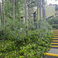 фото из отзыва ID 2711759