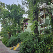 фото из отзыва ID 2711759