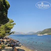 фото из отзыва ID 2711759