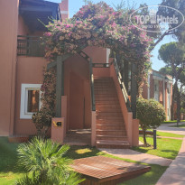 фото из отзыва ID 2711772