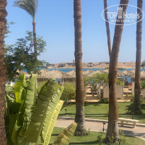 фото из отзыва ID 2711787