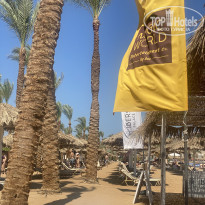 фото из отзыва ID 2711787