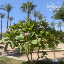 фото из отзыва ID 2711787