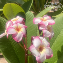 фото из отзыва ID 2711787