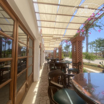 фото из отзыва ID 2711787