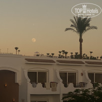 фото из отзыва ID 2711787