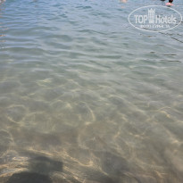 фото из отзыва ID 2711815