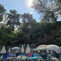 фото из отзыва ID 2711815