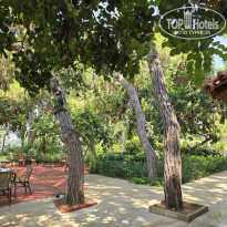 фото из отзыва ID 2711815