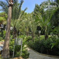 фото из отзыва ID 2711815