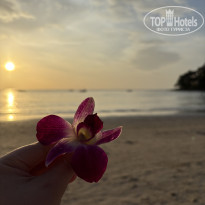 фото из отзыва ID 2711836