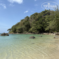 фото из отзыва ID 2711836