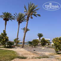 фото из отзыва ID 2711887