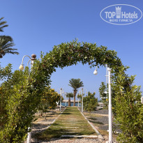 фото из отзыва ID 2711887