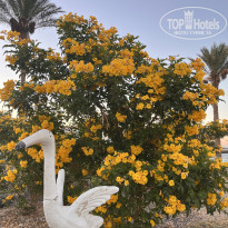 фото из отзыва ID 2711887