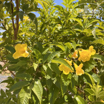 фото из отзыва ID 2711887