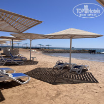 фото из отзыва ID 2711887