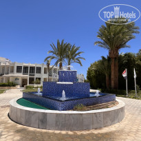 фото из отзыва ID 2711887