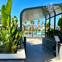 фото из отзыва ID 2711766