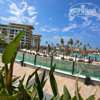 фото из отзыва ID 2711766