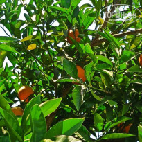 фото из отзыва ID 2711906