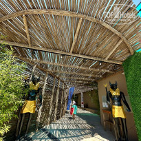 фото из отзыва ID 2711766