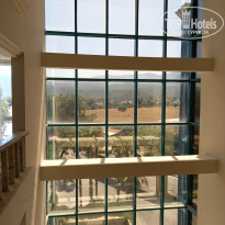 фото из отзыва ID 2711945