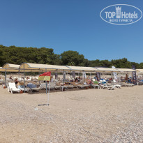 фото из отзыва ID 2711945