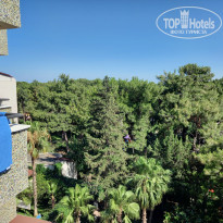 фото из отзыва ID 2711945