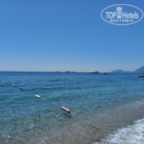 фото из отзыва ID 2711945