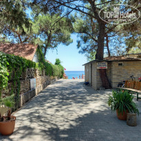 фото из отзыва ID 2711945