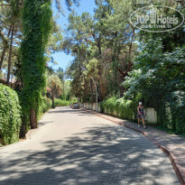 фото из отзыва ID 2711945